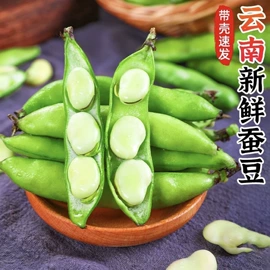 其他药食同源;花果茶;普洱茶