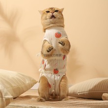 猫咪绝育服母猫断奶服宠物术后防舔衣服防毛薄款透气猫猫手术服