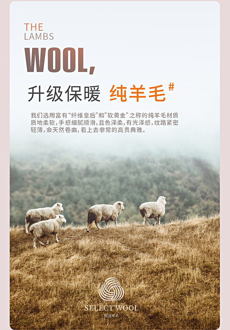 Pure Wool Car Single Seat Winter Cashmere Shear Plush Real Fur One-piece Rear Warm Ass Pad