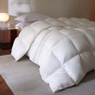 2026�ﶬ��������Ʒ��ů͸���p�݃�о��q��95���Z�q95�����q����