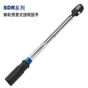 CCM600I����SR����CCMϵ�пɓQ�^���{ʽŤ�ذ���