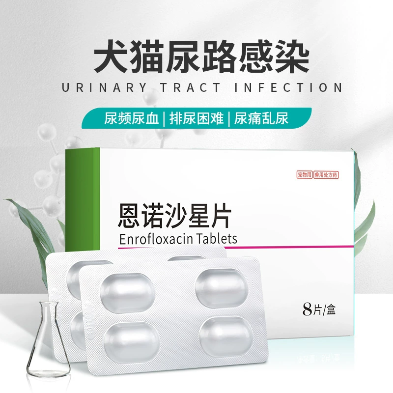 Инфекции мочевыводящих путей у кошек и собак, кошачья моча, кровь в моче, частое мочеиспускание, цистит, инфекции дыхательных путей, противовоспалительные средства