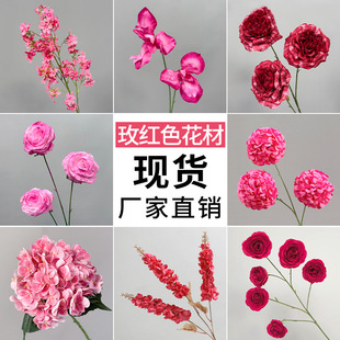 õ�tɫ���滨��c�û����üٻ���c���Ż��鷿�����b�Ʒ��Y��ˇ