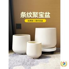 ?���ϻ����p�ݸаlؔ���辰��Ƥ�m�����m�҃ȴ��;Gֲ��