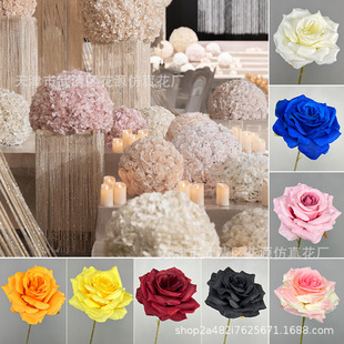 �nʽ��Y�����c������^õ�廨 ��֧�ʯõ õ�廨��廨����