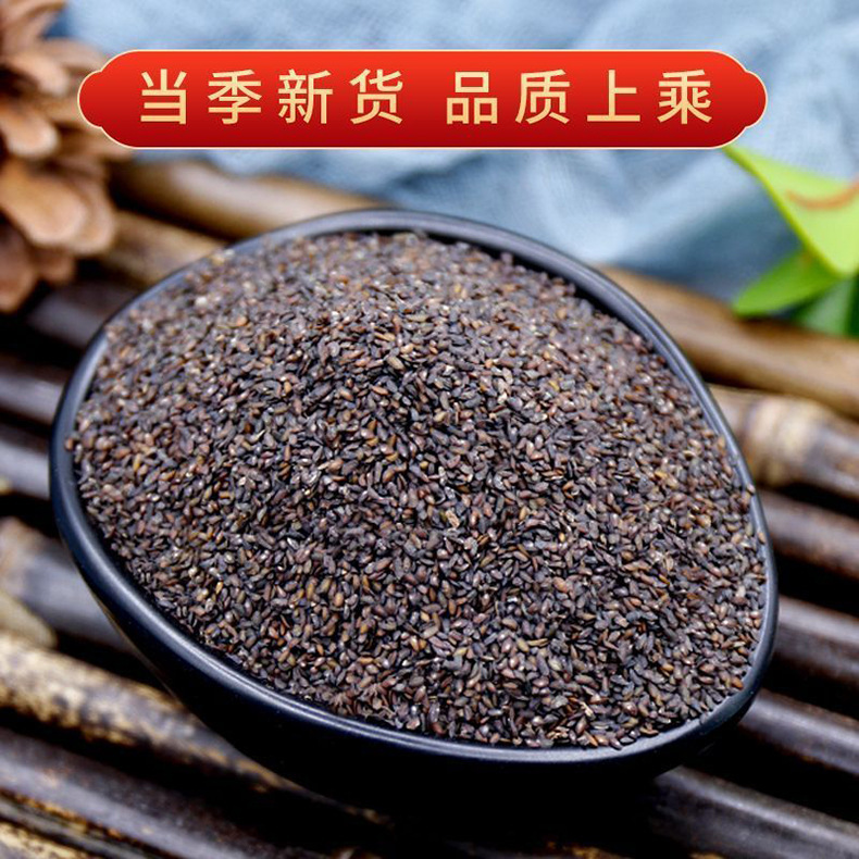 Plantain Seed Che Qian Zi Dried Herb 100g Jar for Decoction and Tea quality and texture