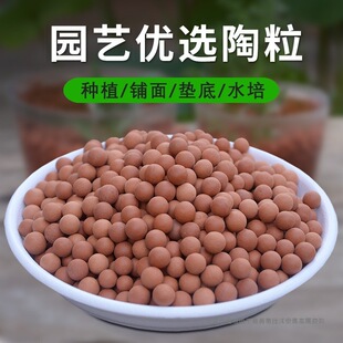 ��ɫ����͸���������w��͸��Gֲ����|����挣��ˮ����������