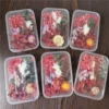 A box of red flowers, 7-8 kinds of flowers, random varieties