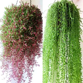 收纳架;节庆用品;灯笼