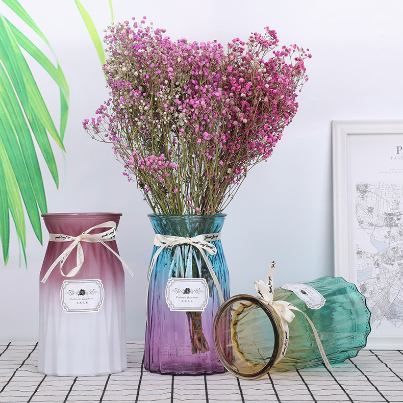 Glass Vase transparent simple creative home decoration living room flower arrangement hydroponic gradient flower small vase