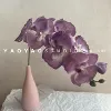 Фиолетовый