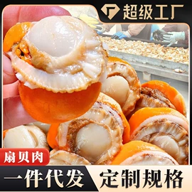鱼类;虾类;贝类