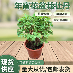 ����ԭ������������ĵ��ֲ�꽡���҃��̨ͥԺ�@ˇ���^��������