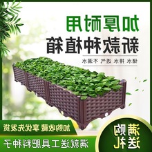 种菜盆箱室外蔬菜种植箱家庭阳台楼顶特大号花箱长方形塑料花盆