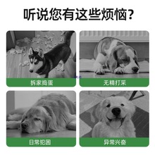 ���������߅�����������������»�Ӗ����������ҧ������Ʒ