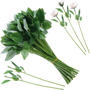 �S�����l���滨õ��z�W�����֦�����ϻ�֦��ˇ�ٗl�廨�F�z