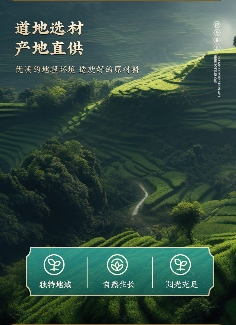 Hui Xin Cao Dried Herb 20g Hand Selected Huixincao Traditional Chinese Herbal Tea Ingredient key features