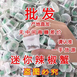 ����зС�зС�~�ݔ[��؛����з��������з�^�p�~��܊з���w����