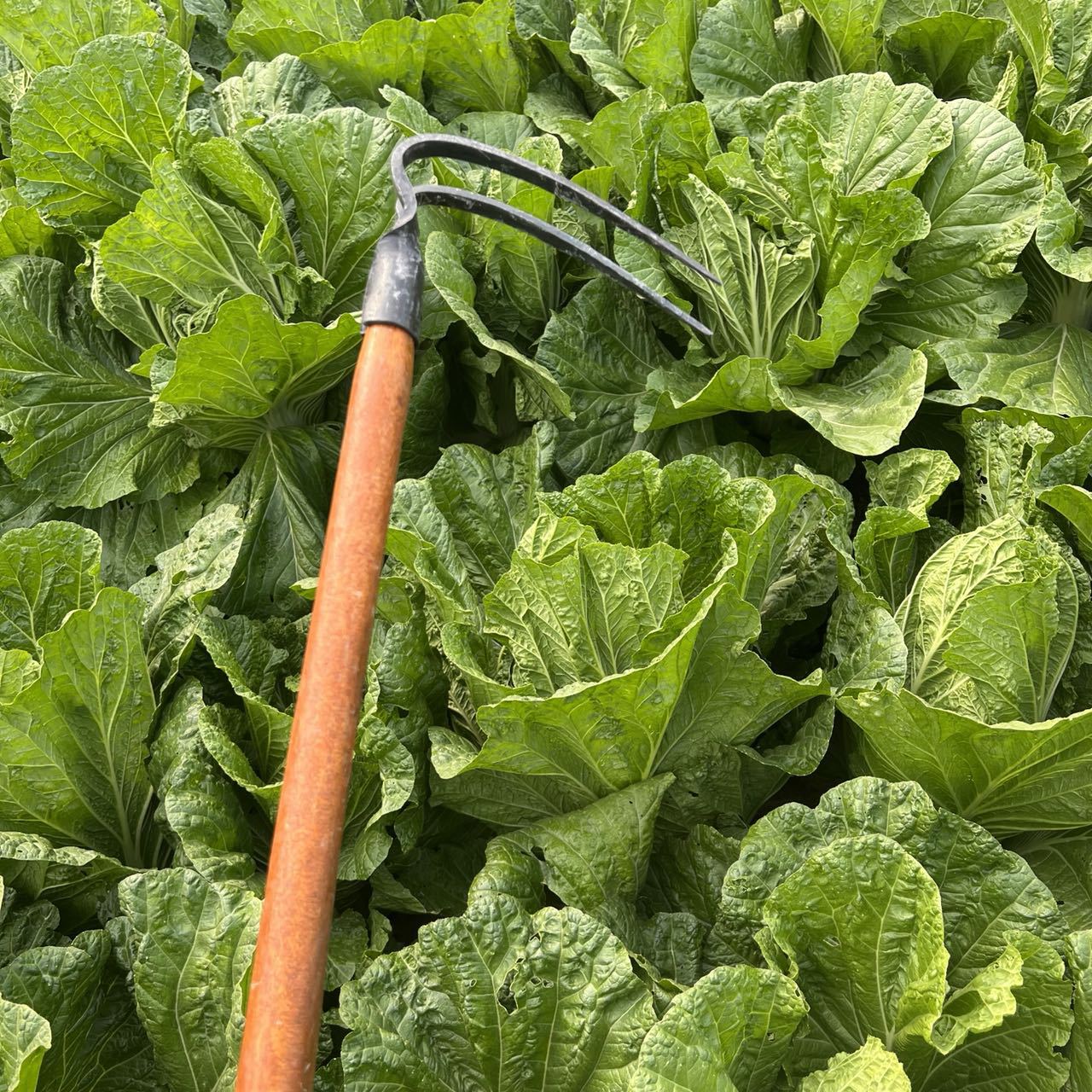 微信图片_20211111205458