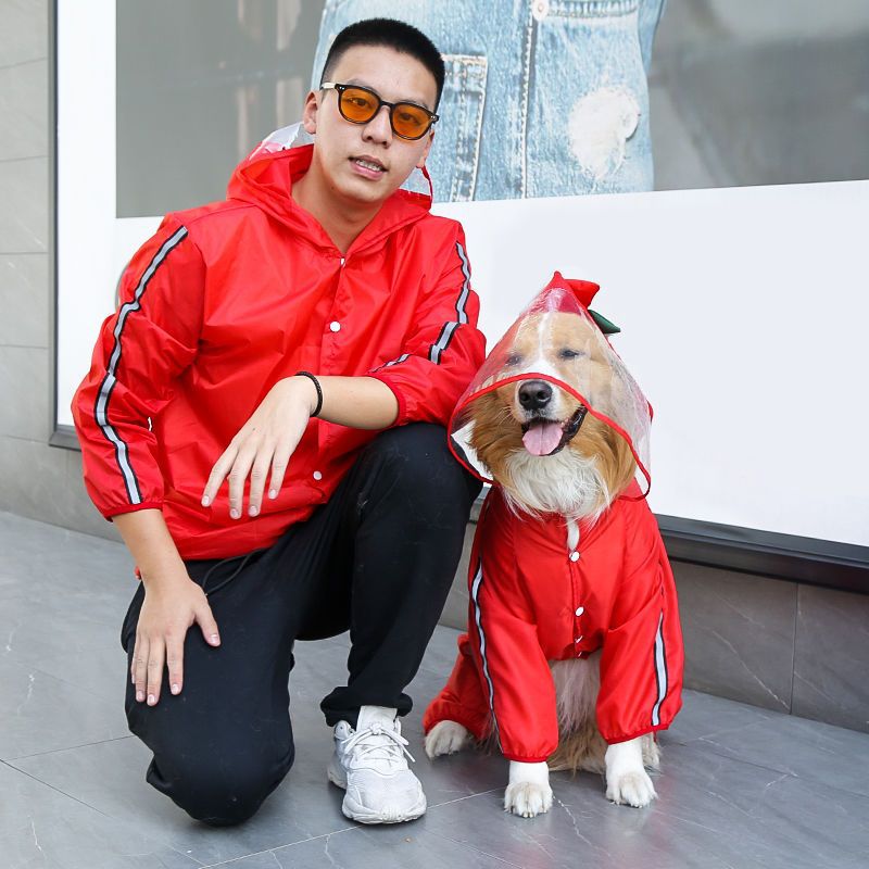 골든 리트리버 SAMO LABRADOR FADOU 큰 개 애완 동물 고양이 방수 비옷 야외 비 게이지