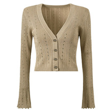 Ʒ�|�F؛2025�괺���¿�ᘿ����L��V�I���¾W�t�_��ë����������