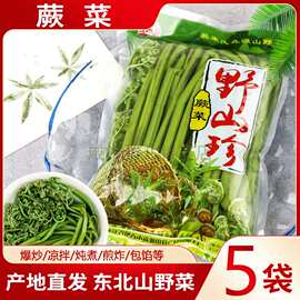 东北特产蕨菜小兴安岭伊春山野菜保鲜菜山蕨菜袋装森源450g*5袋