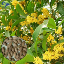 �𻨷N�� ��� �y�� ���� ����� ��ɰ���ļ���N�� 20�����b