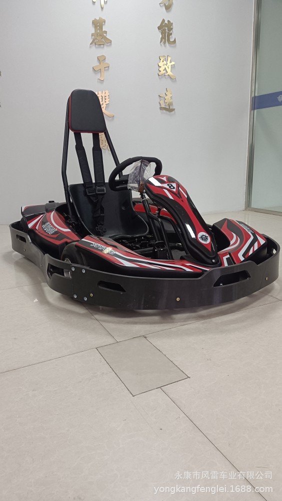 Go-Kart de Pista F1 de Hierro con Transmisión en Cadena para Parque de Atracciones image 10