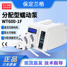 大容量蠕动泵多泵头串联使用分配型工业软管泵