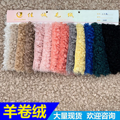 供應新款 中羊卷面料 羊卷絨 捲毛絨 圈圈絨絨布服裝玩具鞋材