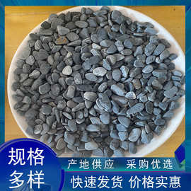 景观黑石米透水海绵石子公园庭院天然石绿地铺路砾石室内外装饰