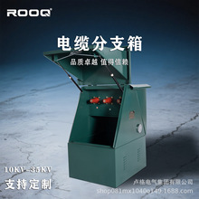 10KV�߉���|��֧��DFW-12/630һ�Mһ����������ֽ������ʽ12KV