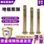 六角镀彩膨胀定制壁虎
