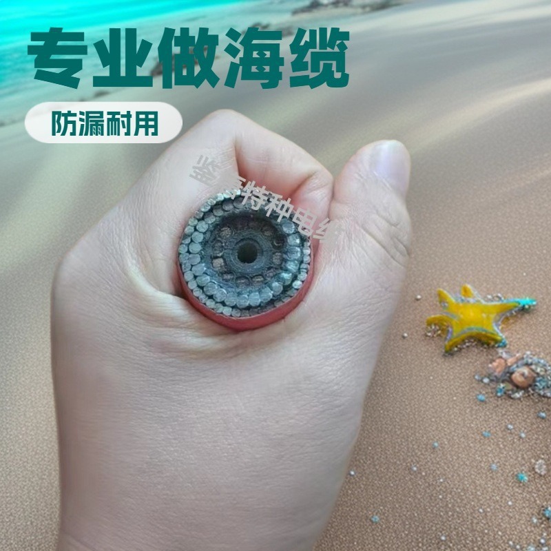 海底耐压电缆电缆有足够的柔韧性，可在水下进行复杂的操作