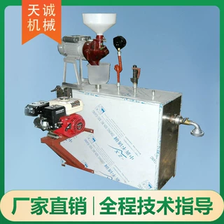 风味小吃玉米面条机 天诚牌新型自熟酸汤子机