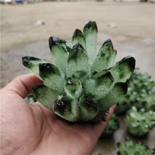 ��Ȼ�Gɫˮ���G���`����ˮ����ԭʯԭ�V�˱��[��