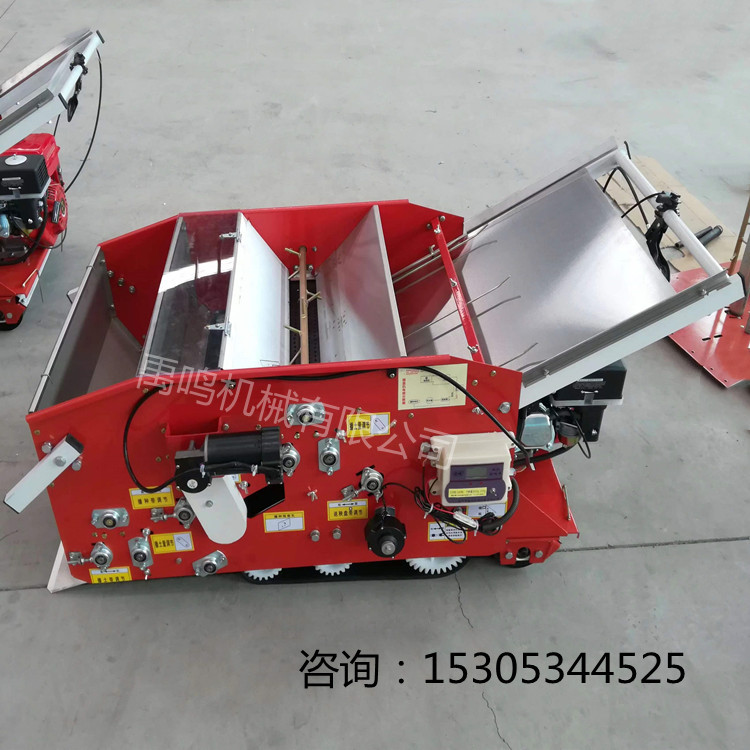 水稻旱稻育秧摆盘机汽油款育秧铺盘播种覆土一体电动款摆盘机现货