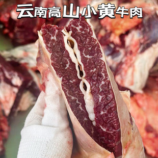 ��Ī�����r����Sţ��ţǰ���������ɢ�B�Sţ�ⲿλ���x��S�l؛