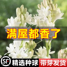 �ذ�������N������ҹ����������r���ܾGֲ��ͥԺ������ٺϻ���