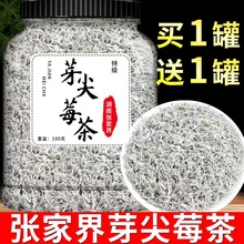【正宗莓茶】莓茶正品龙须芽尖长寿藤茶非特级野生永顺莓茶