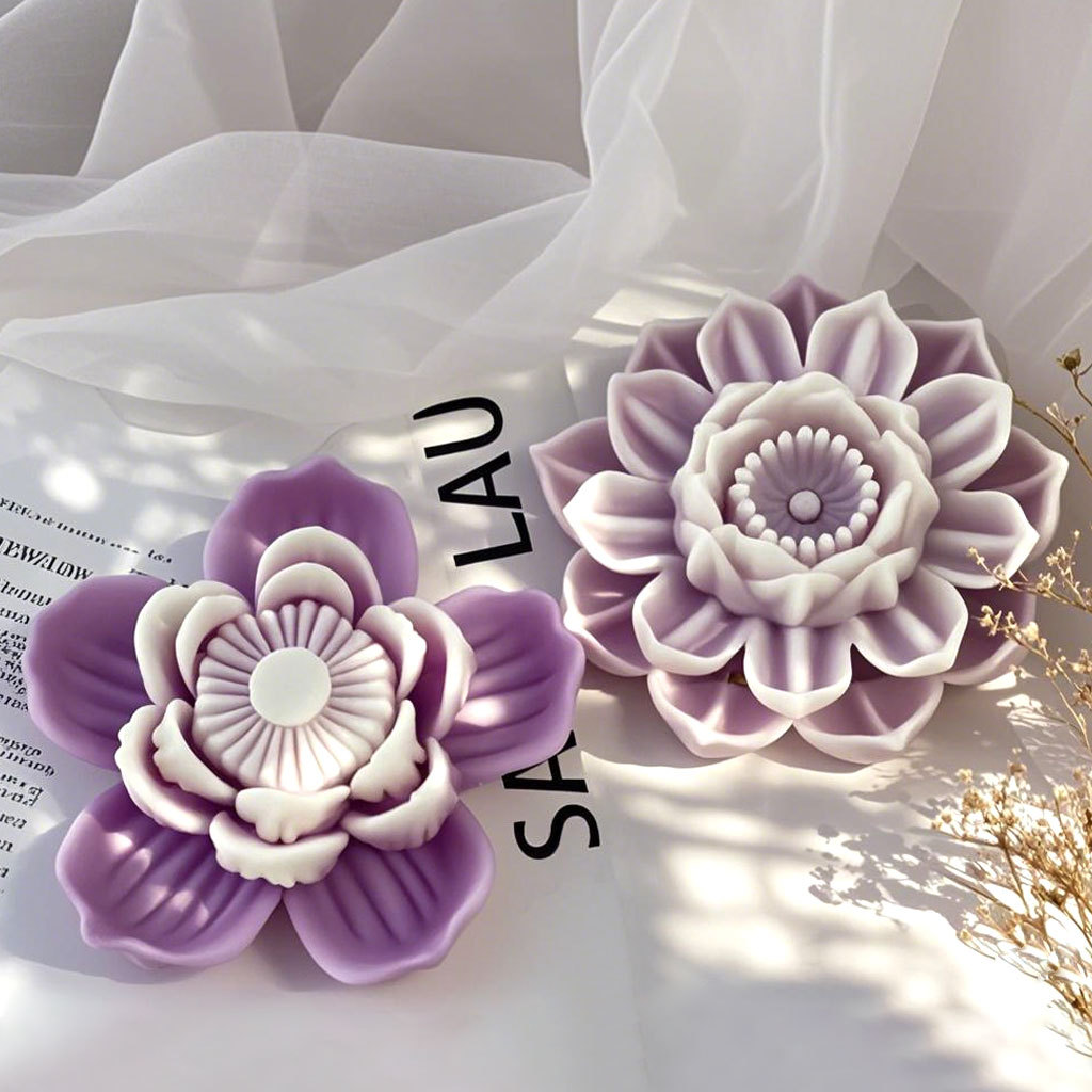 微信图片_20250429163941