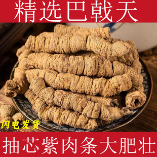 �������ș�İ�ꪾ��x��о������u�c�L������i���ɐ�ض����ݾ�