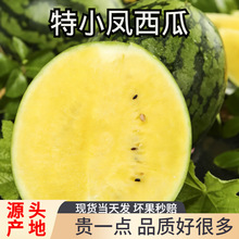 ������S��������С�P�Sȿ��˺�������rˮ���������Ƥ������