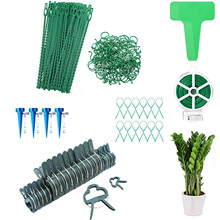 ��ɼ �@ˇ����������ֲ���F�z ���@���Ƙ˺�ֲ��ۊA�ӵι� �S��