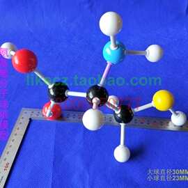 氨基酸分子结构模型教学演示商务展览常见氨基酸全套科学模型大号
