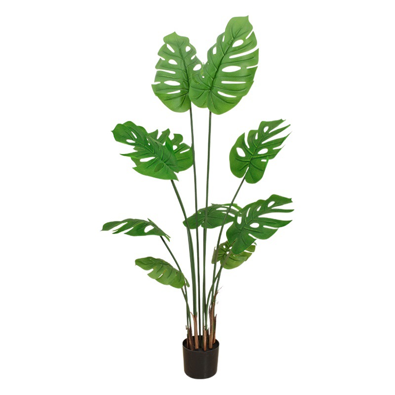 Simulación de plantas verdes, sentido avanzado, piso grande, simulación, sala de estar, decoración del hogar, plantas de interior en macetas, decoración