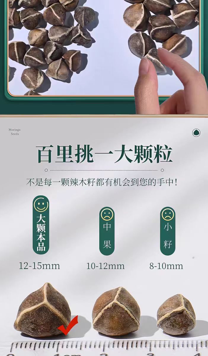 Moringa Seeds La Mu Zi 60g Jar or Bag Dried Seeds from Yunnan for Daily Herbal Use key features