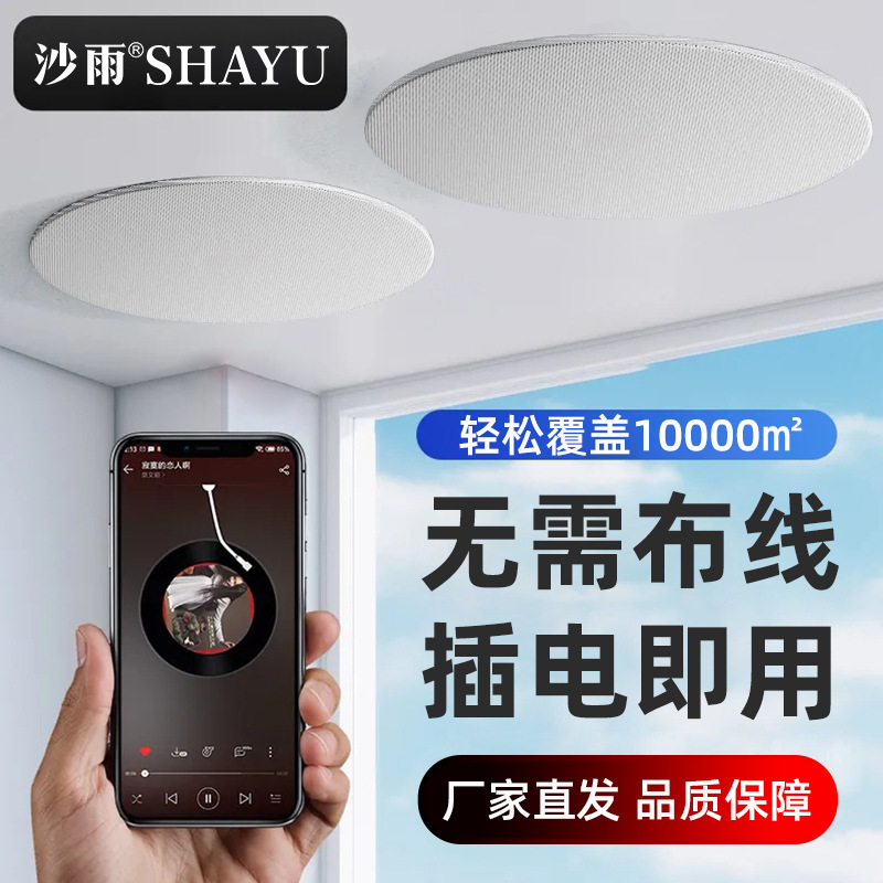 Bluetooth Ceiling Speaker Ceiling Heavy Bass Speaker Embedded Broadcast System for Home and Shopping Mall Factory Direct Sales