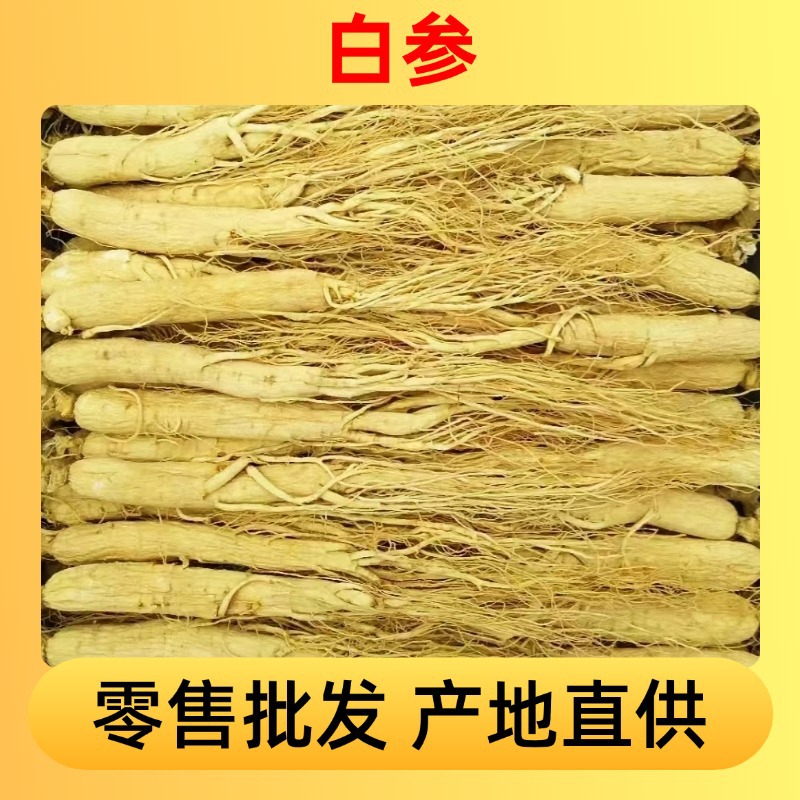 Retail and wholesale Northeastern dried ginseng and white ginseng…