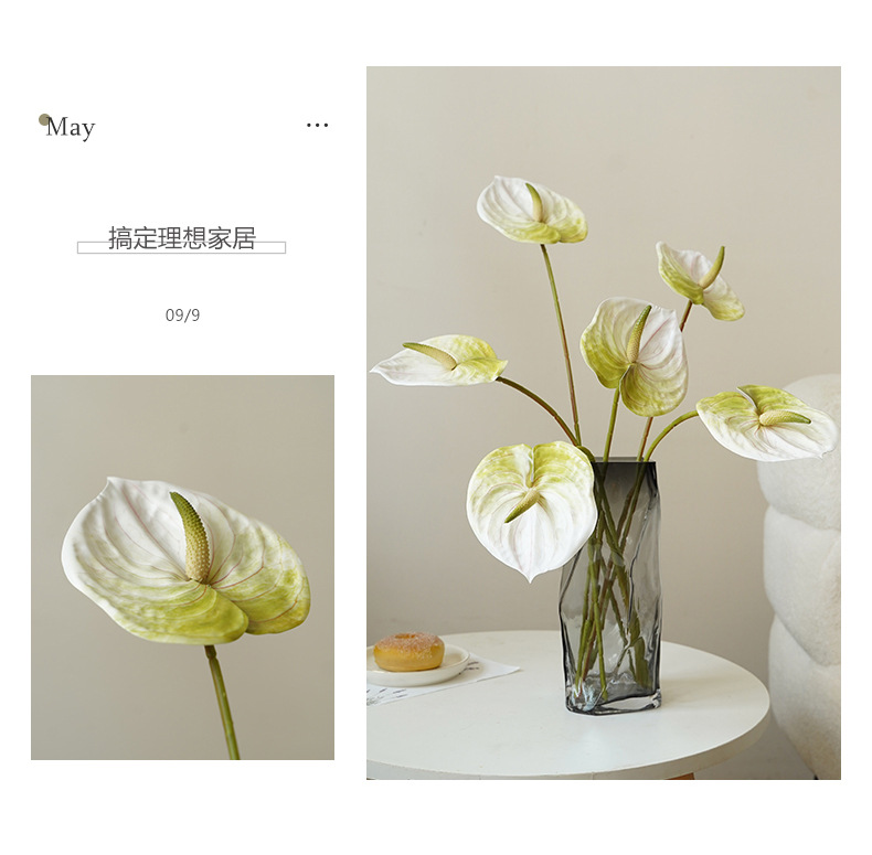 林尼单枝中号红掌_02.jpg